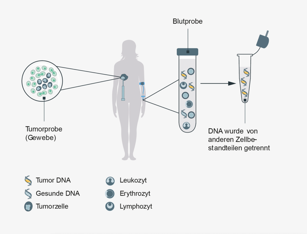 Biomarker Test